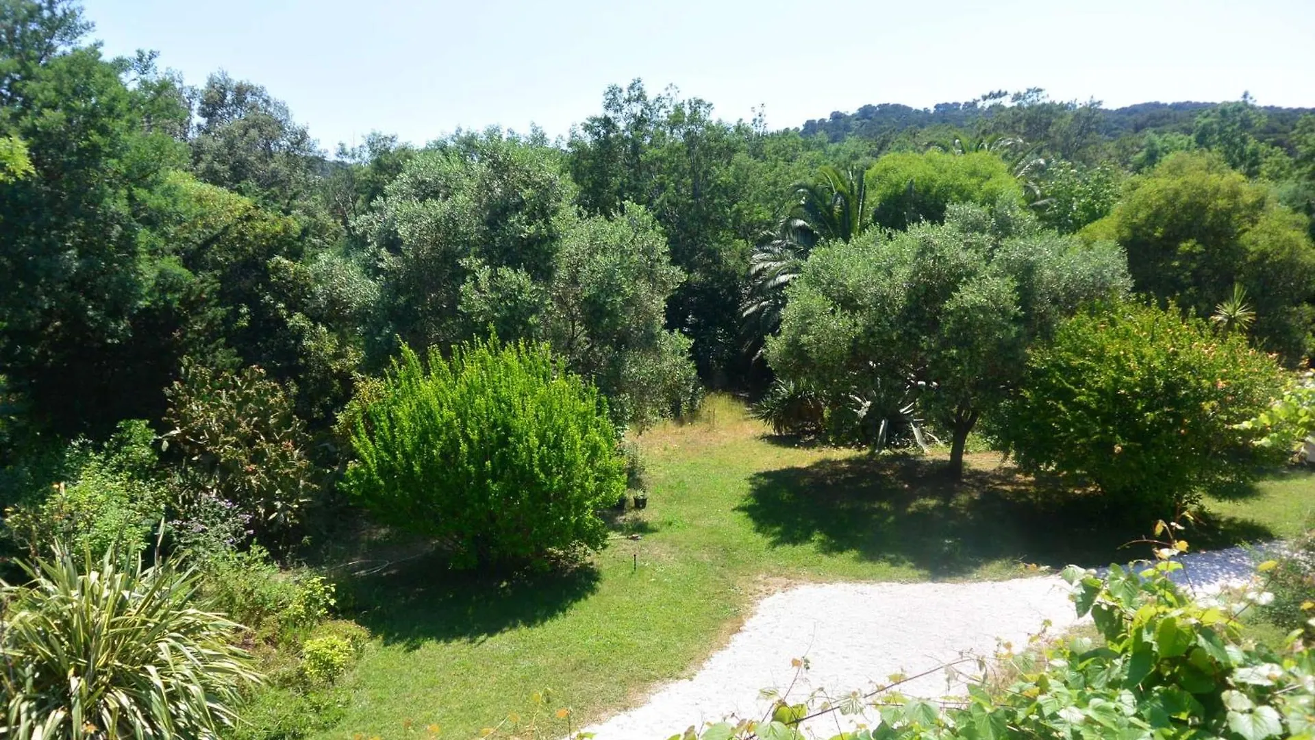 Agreable Villa Fleurie Sur L'Ile De Porquerolles France